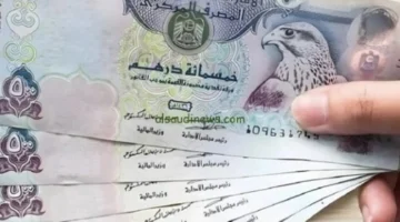 سعر الدرهم الإماراتي.. استقرار ملحوظ أمام الجنيه المصري في تعاملات الإثنين 9 فبراير 2026